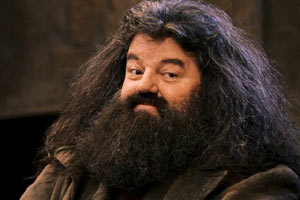 ¿Conseguirías venderle un peine a Hagrid?